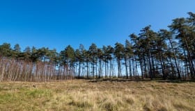 Bøtø_naturpark_2020-1-of-20