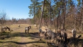 Bøtø_naturpark_2020-10-of-20