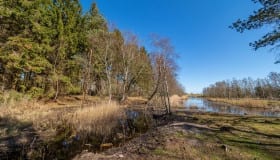 Bøtø_naturpark_2020-13-of-20