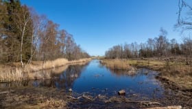 Bøtø_naturpark_2020-14-of-20