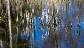 Bøtø_naturpark_2020-15-of-20
