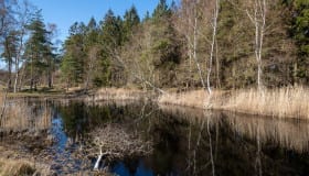 Bøtø_naturpark_2020-16-of-20