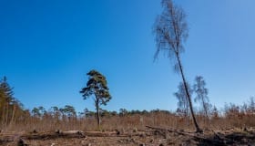 Bøtø_naturpark_2020-4-of-20