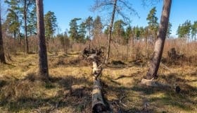 Bøtø_naturpark_2020-5-of-20
