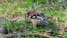 Bøtø_naturpark_2020-7-of-20