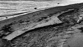 Ved Bregninge strand