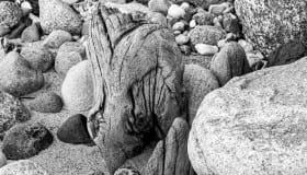 Ved Bregninge strand