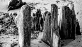 Ved Bregninge strand