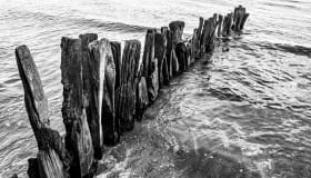 Ved Bregninge strand