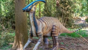 Knuthenborg_juli_2018-10 Knuthenborg_juli_2018-10