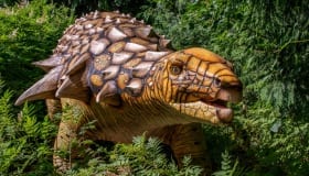 Knuthenborg_juli_2018-13 Knuthenborg_juli_2018-13
