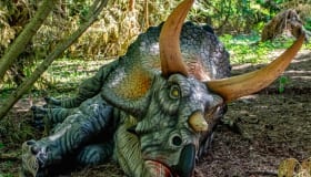 Knuthenborg_juli_2018-18 Knuthenborg_juli_2018-18