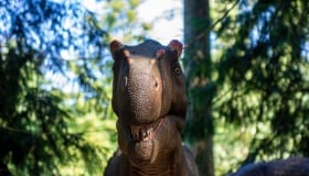 Knuthenborg_juli_2018-4 Knuthenborg_juli_2018-4