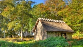 Efterår-på-falster-2018-10-of-18