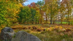 Efterår-på-falster-2018-2-of-18