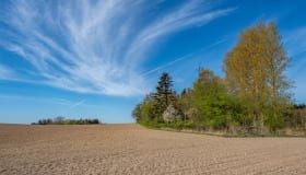 Falster_April_2020