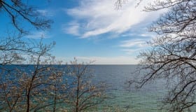Falster_April_2020