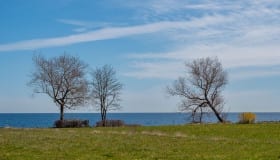Falster_April_2020