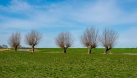 Falster_April_2020