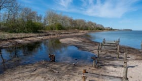 Falster_April_2020