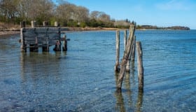 Falster_April_2020