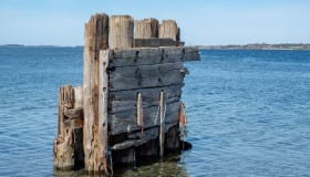 Falster_April_2020
