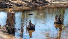 Falster_April_2020