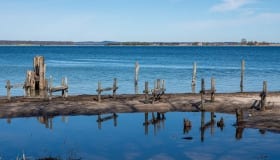 Falster_April_2020