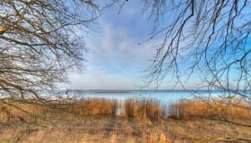 Fra Frejlev skov på Lolland