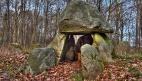 Fra Frejlev skov på Lolland