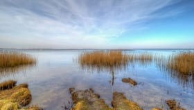 Fra Frejlev skov på Lolland