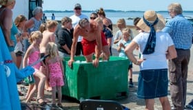 Havnens dag i Stubbekoebing 2018 (1 of 35) (34)