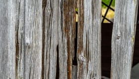 20190809-Claus_Larsen-101