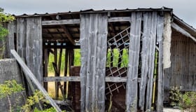 20190809-Claus_Larsen-104