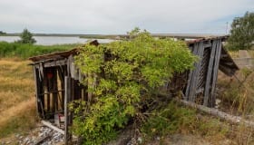 20190809-Claus_Larsen-111