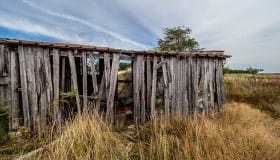 20190809-Claus_Larsen-115