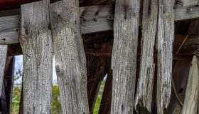 20190809-Claus_Larsen-93