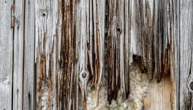 20190809-Claus_Larsen-98