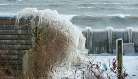 Ishuset-faxeladeplads-17032018-12