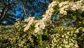 Ved-Groensund-10