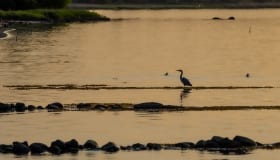 Ved-Groensund-11