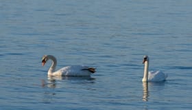 Ved-Groensund-5