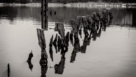 DSC_6199-Edit