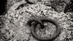 DSC_6220-Edit
