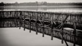 DSC_6228-Edit
