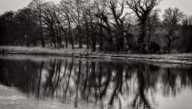 DSC_6268-Edit