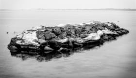 DSC_6302-Edit