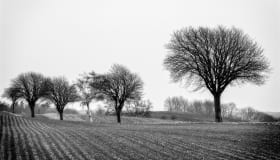 DSC_6307-Edit