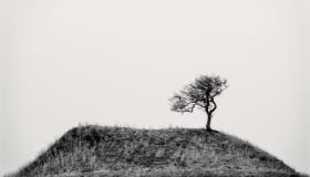 DSC_6326-Edit