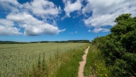 Møns klint 22-06-2019